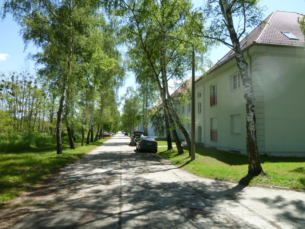 Дорога к летным домам