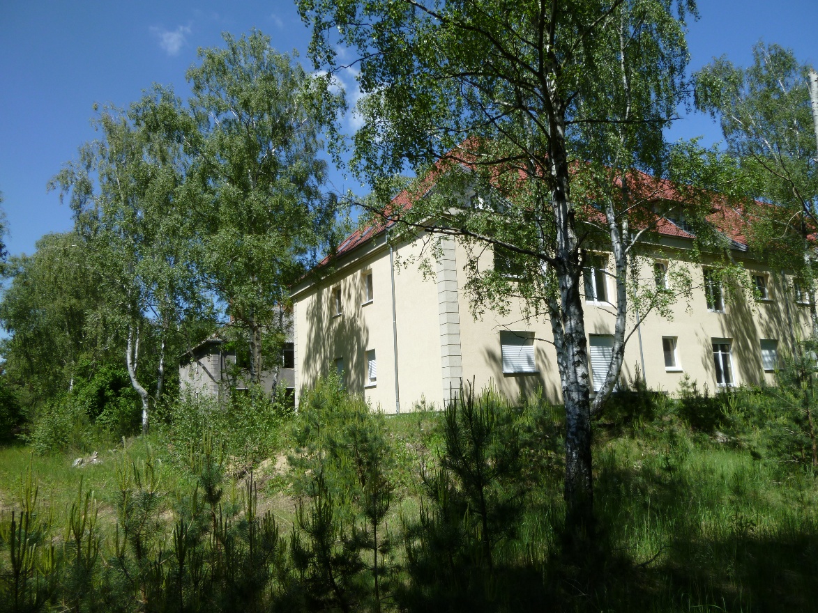 Наш дом сзади