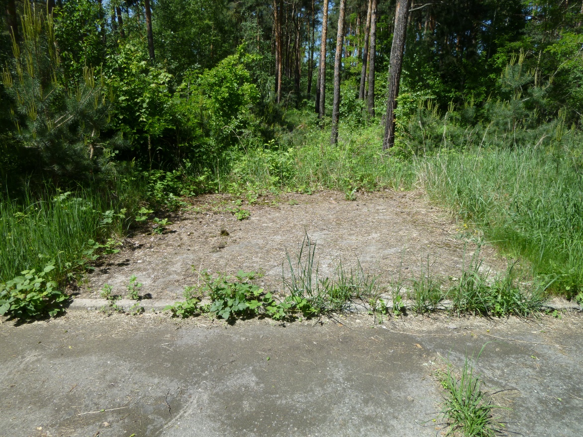 Место киоска