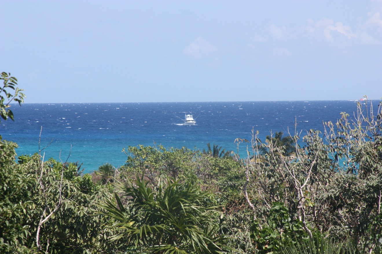 From our room