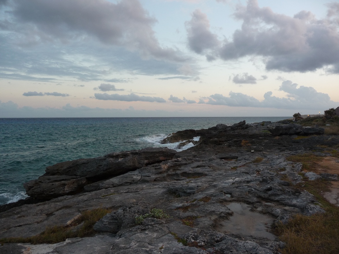 Shore