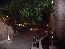 P1020487