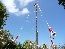 P1020658