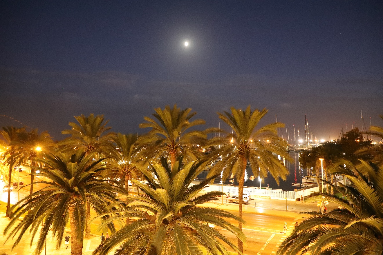 Palma port eve