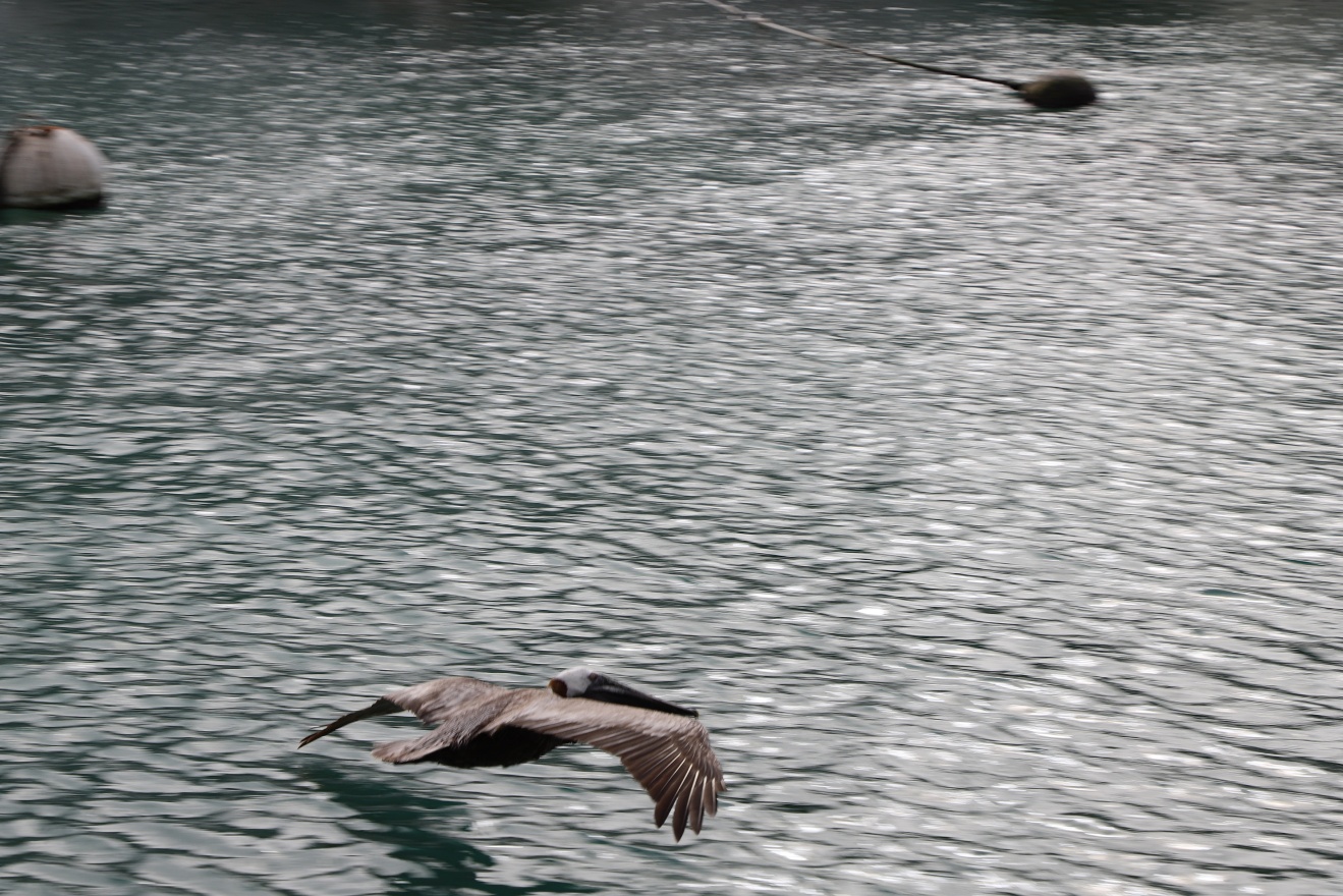 Gliding