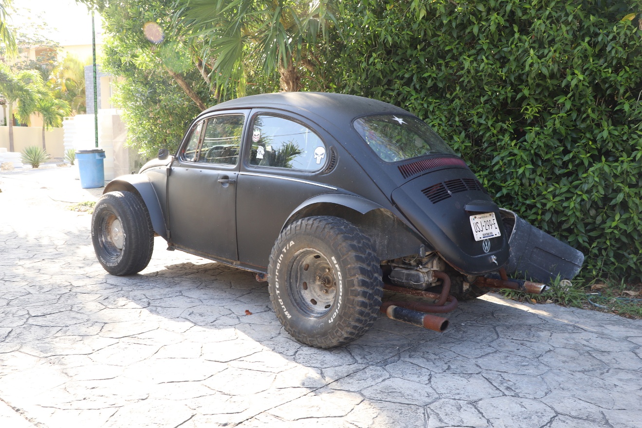 Monster beatle