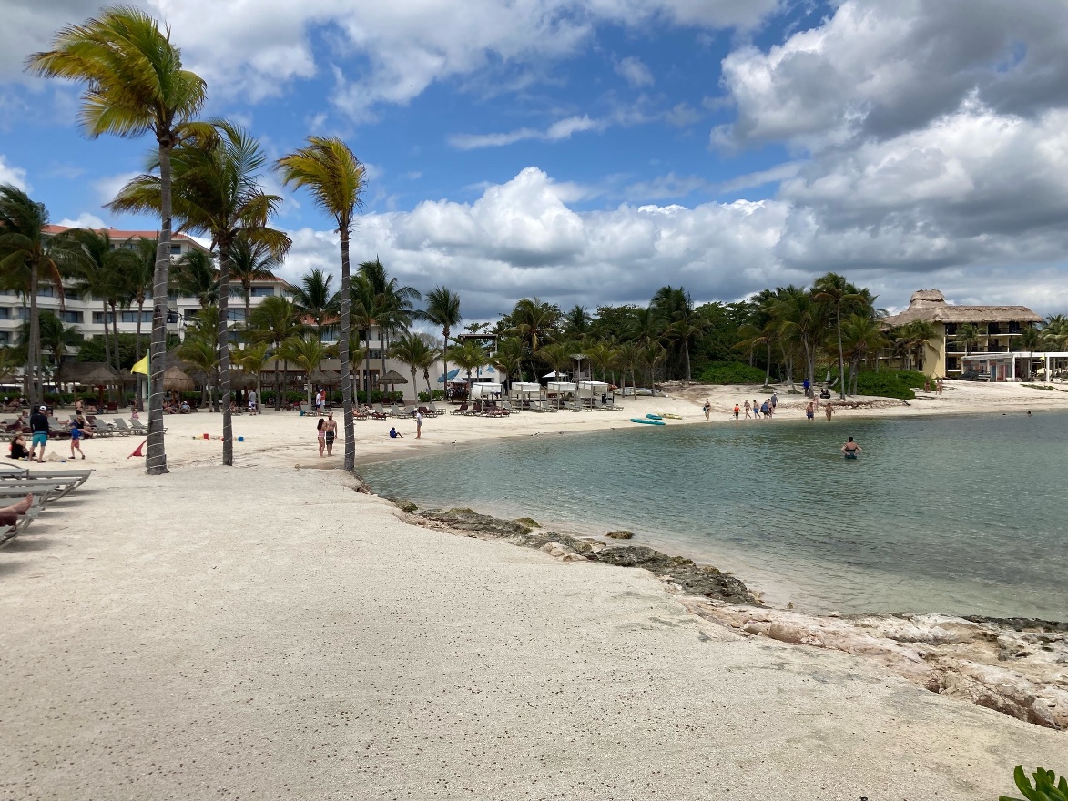 IMG_7036.jpeg