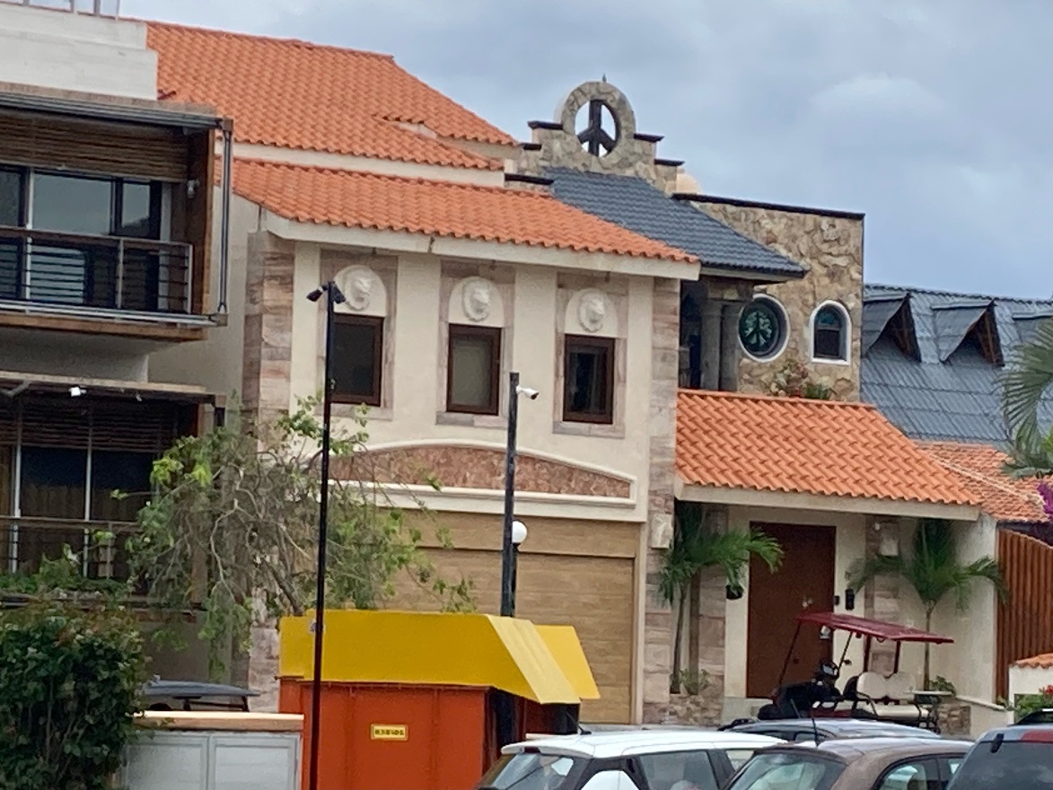 IMG_7054.jpeg