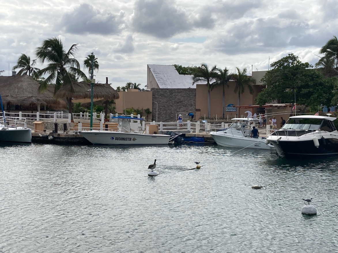 IMG_7072.jpeg