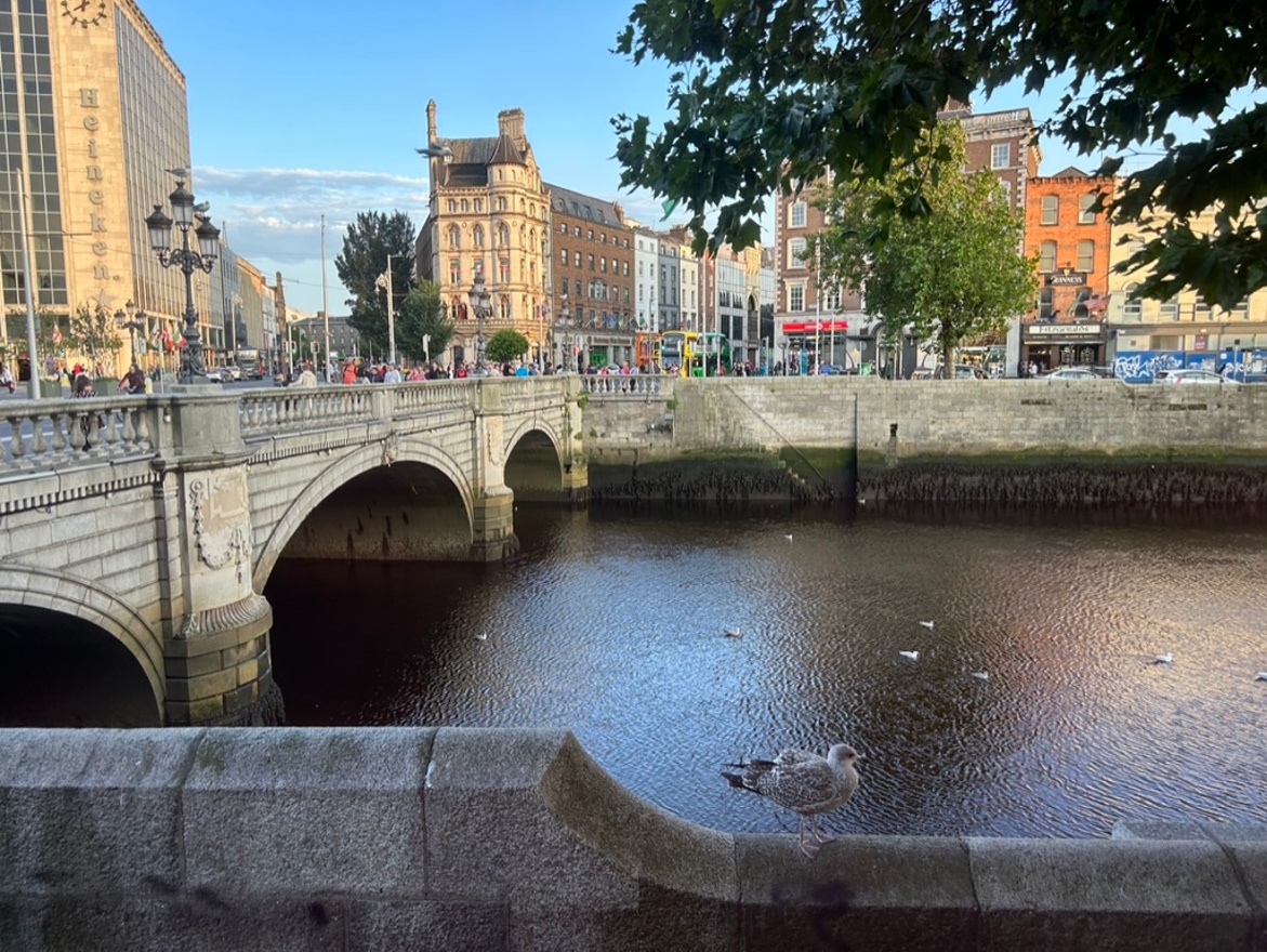 O'Connell bridge