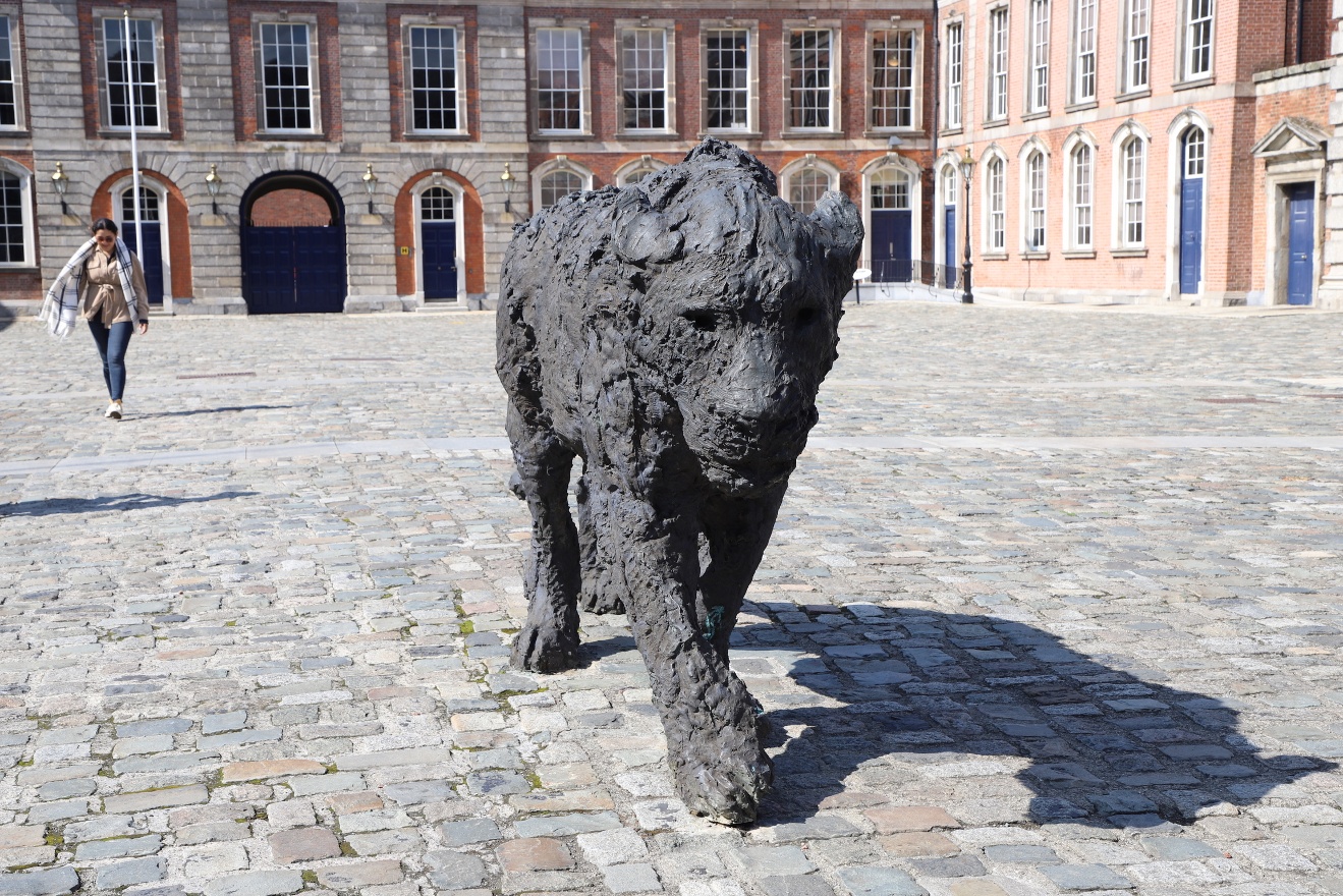 Inside Dublin Castle