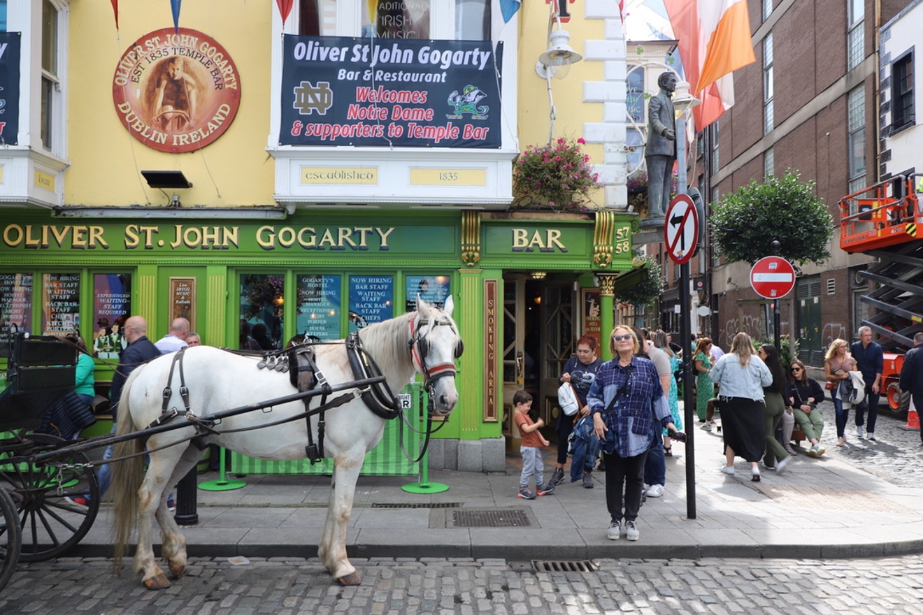 The Oliver St.John Gogarty