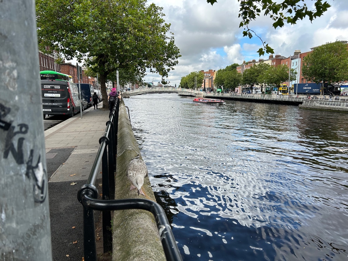 Liffey river