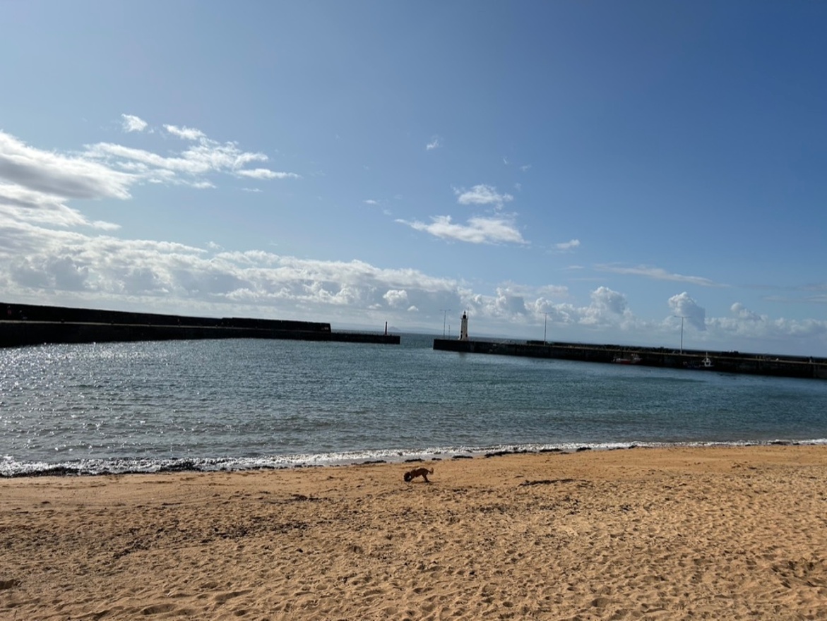 Anstruther Harbour