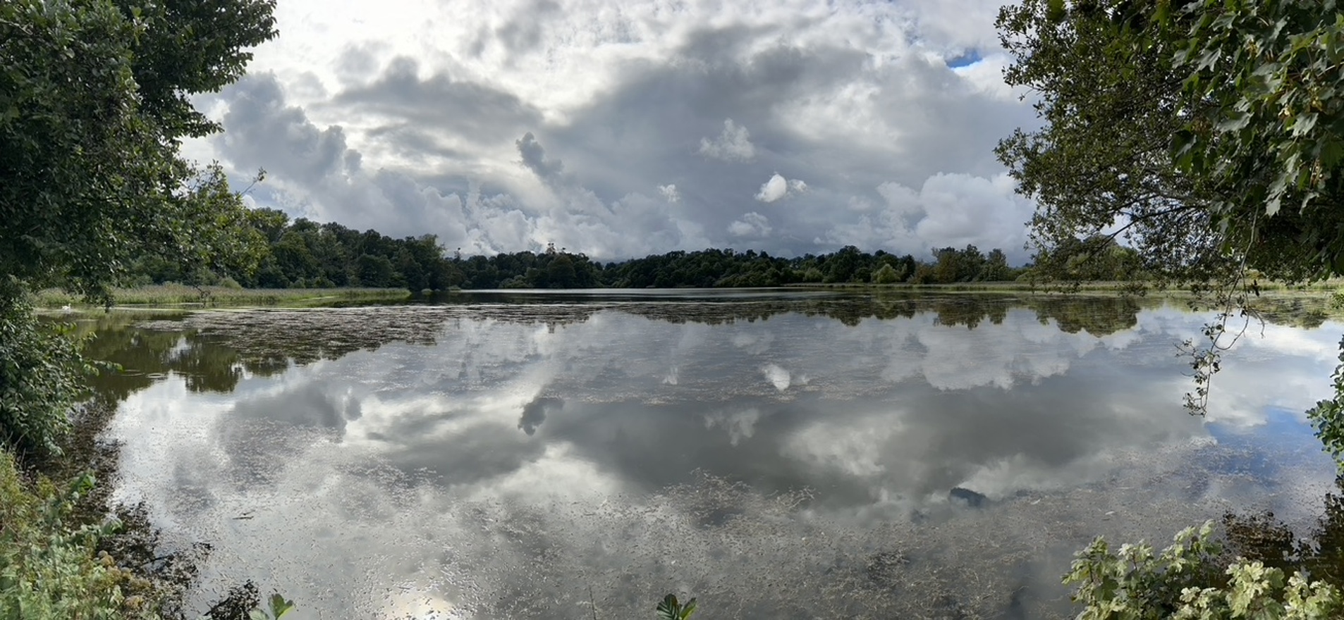 Hirsel Lake panorama