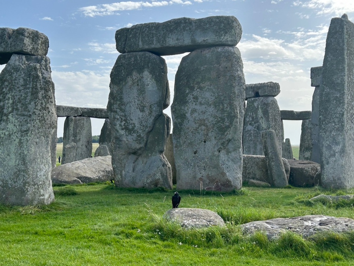Stonehenge and a crow