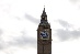 480050ED-1D5D-4D09-B323-2C2389931487_1_105_c