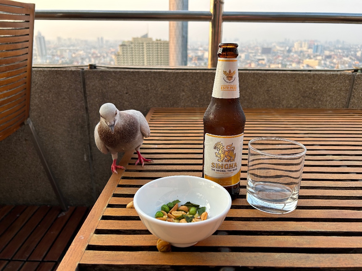 Snack for pigeon