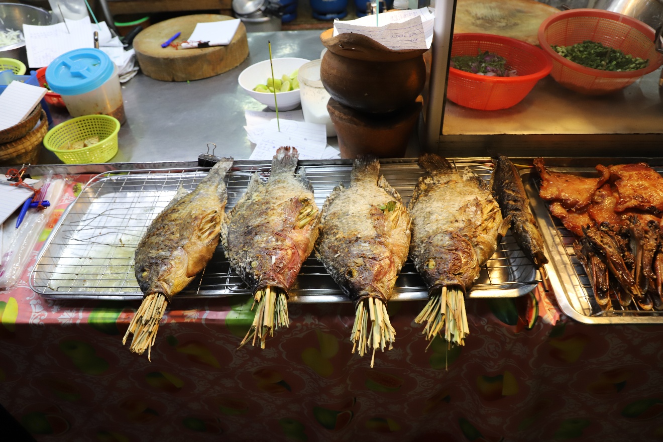 Fish