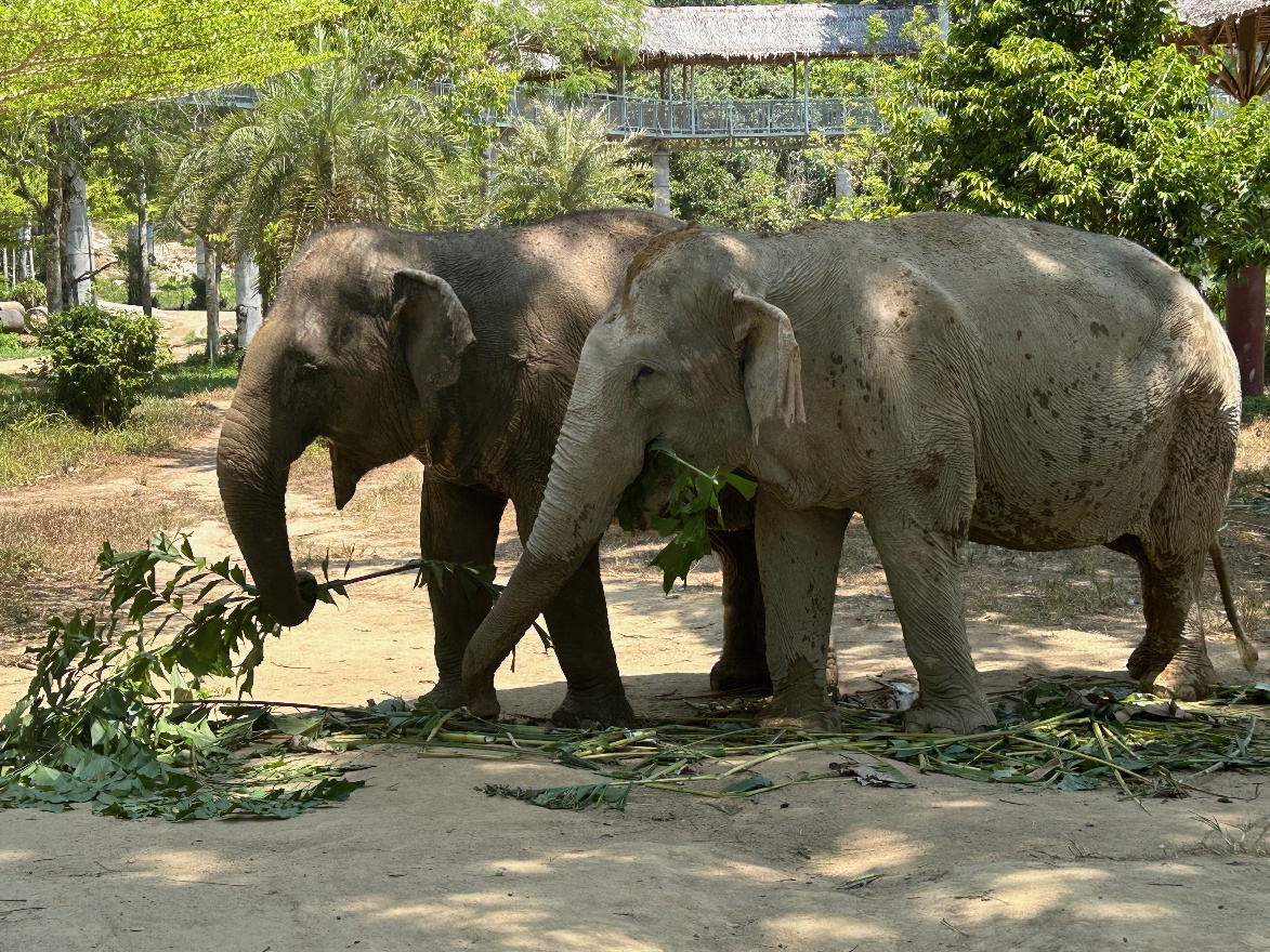 Two buddies eating