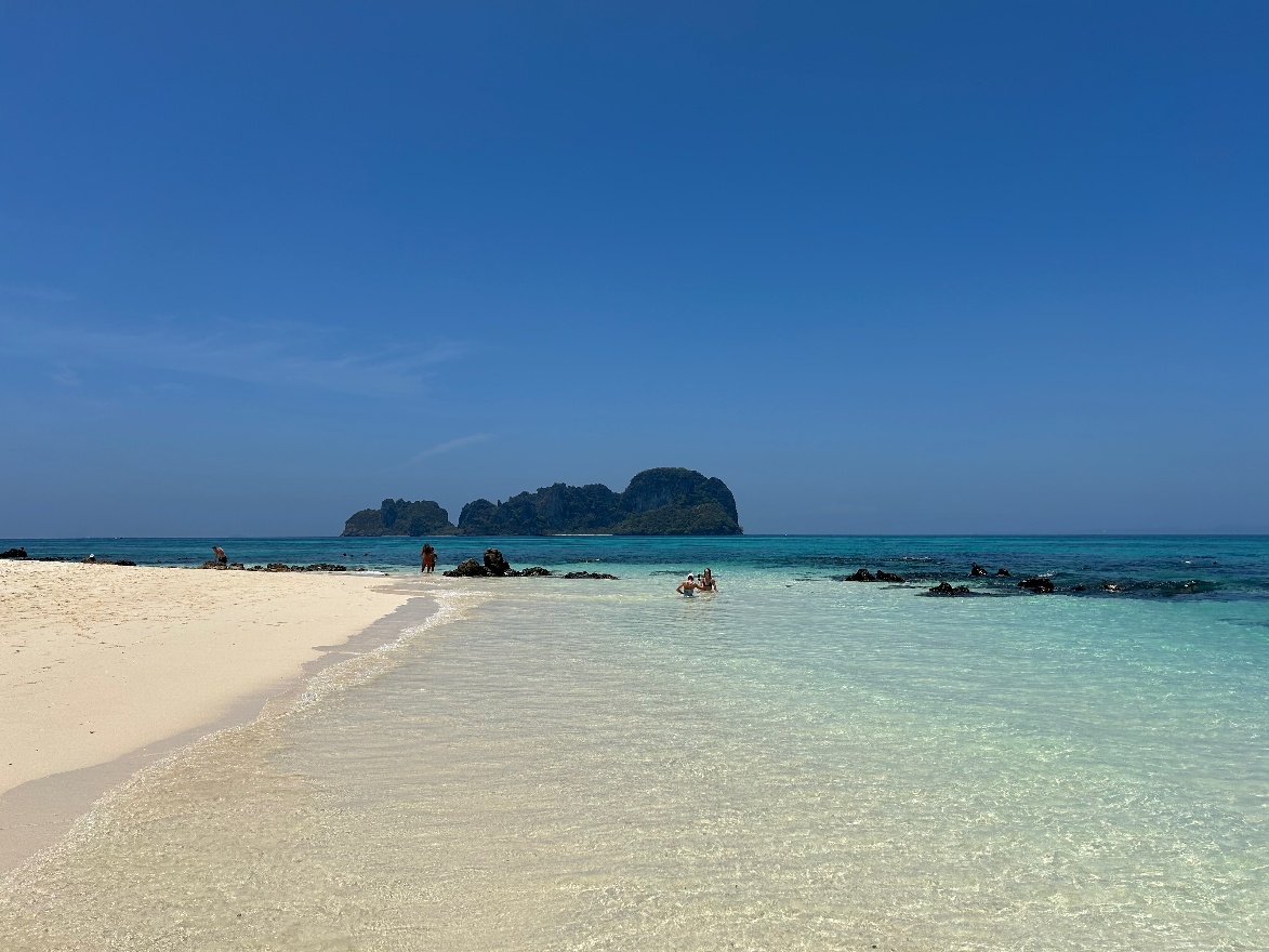 Bamboo beach