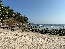 IMG_5278