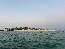 IMG_5314