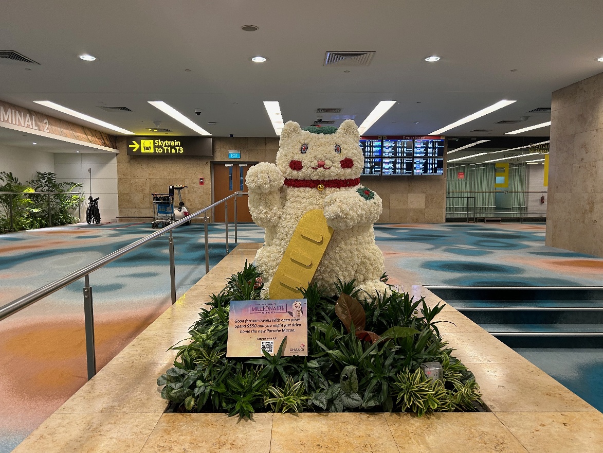Signapore airport arrival