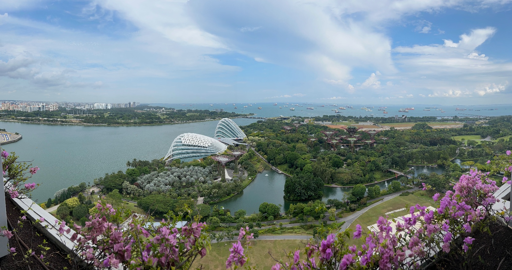 View from MBS balcony