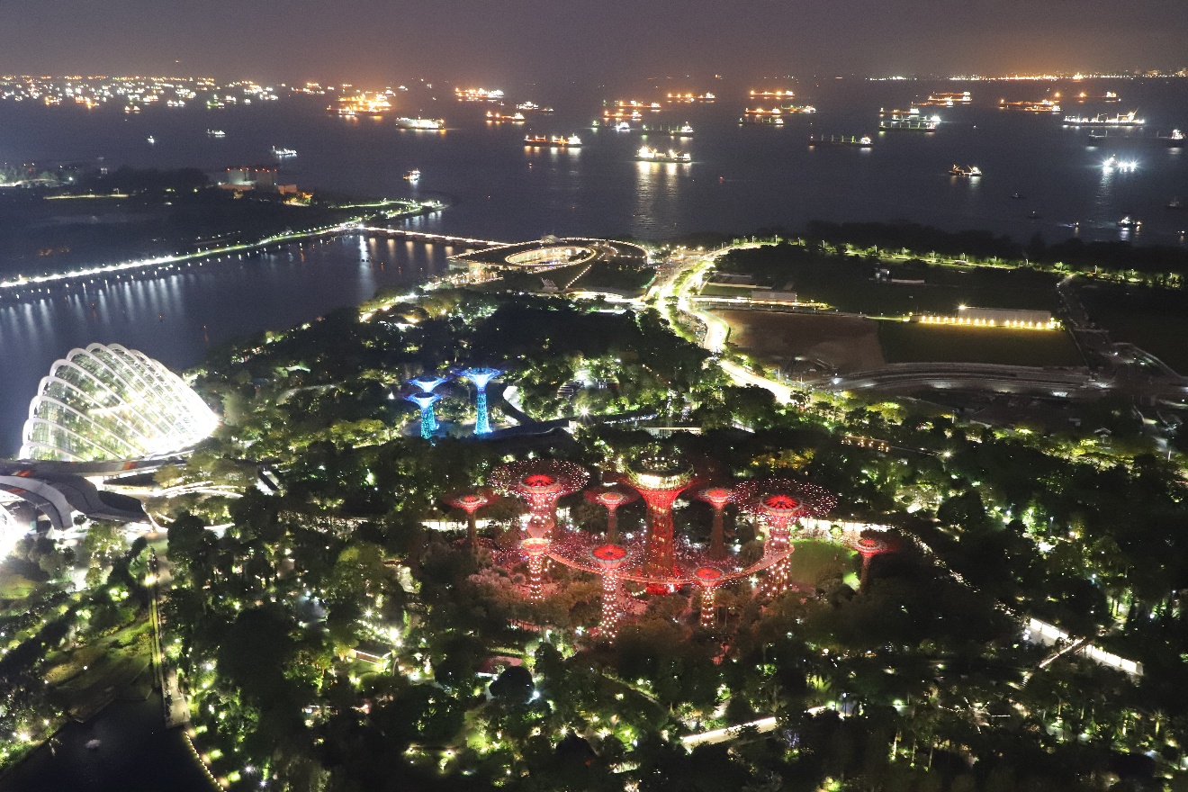 Gardens light show