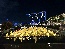 IMG_0477