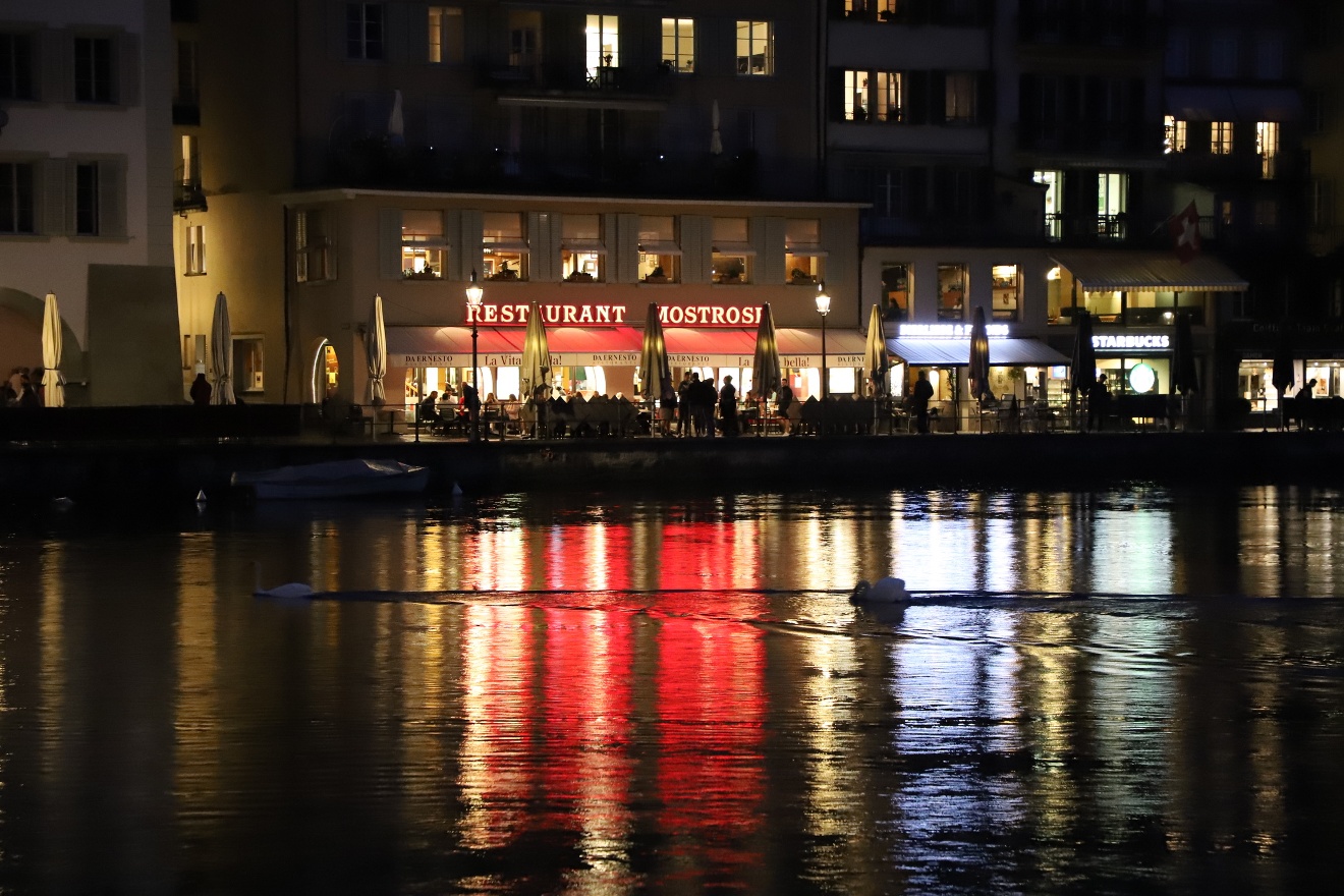 Mostrose at night