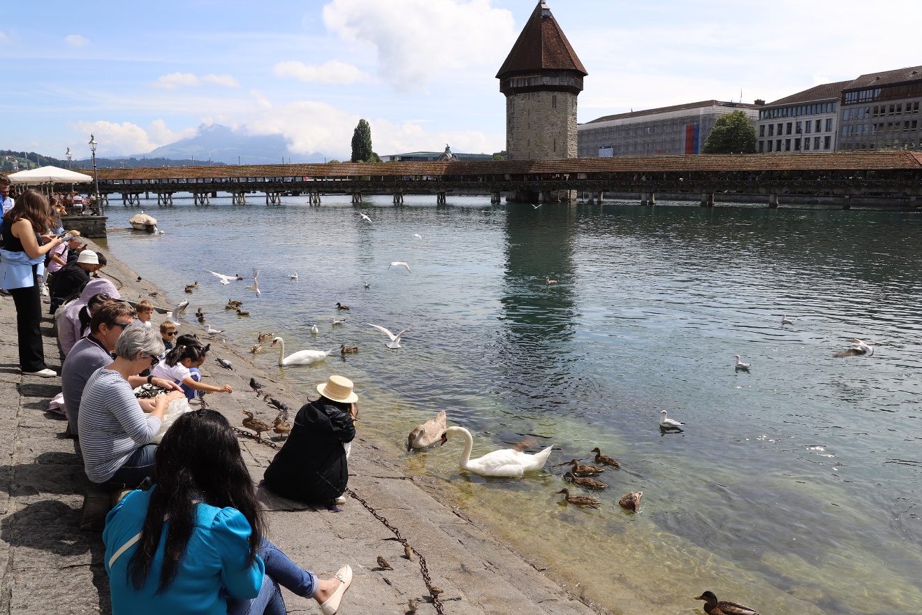 Feeding ducks