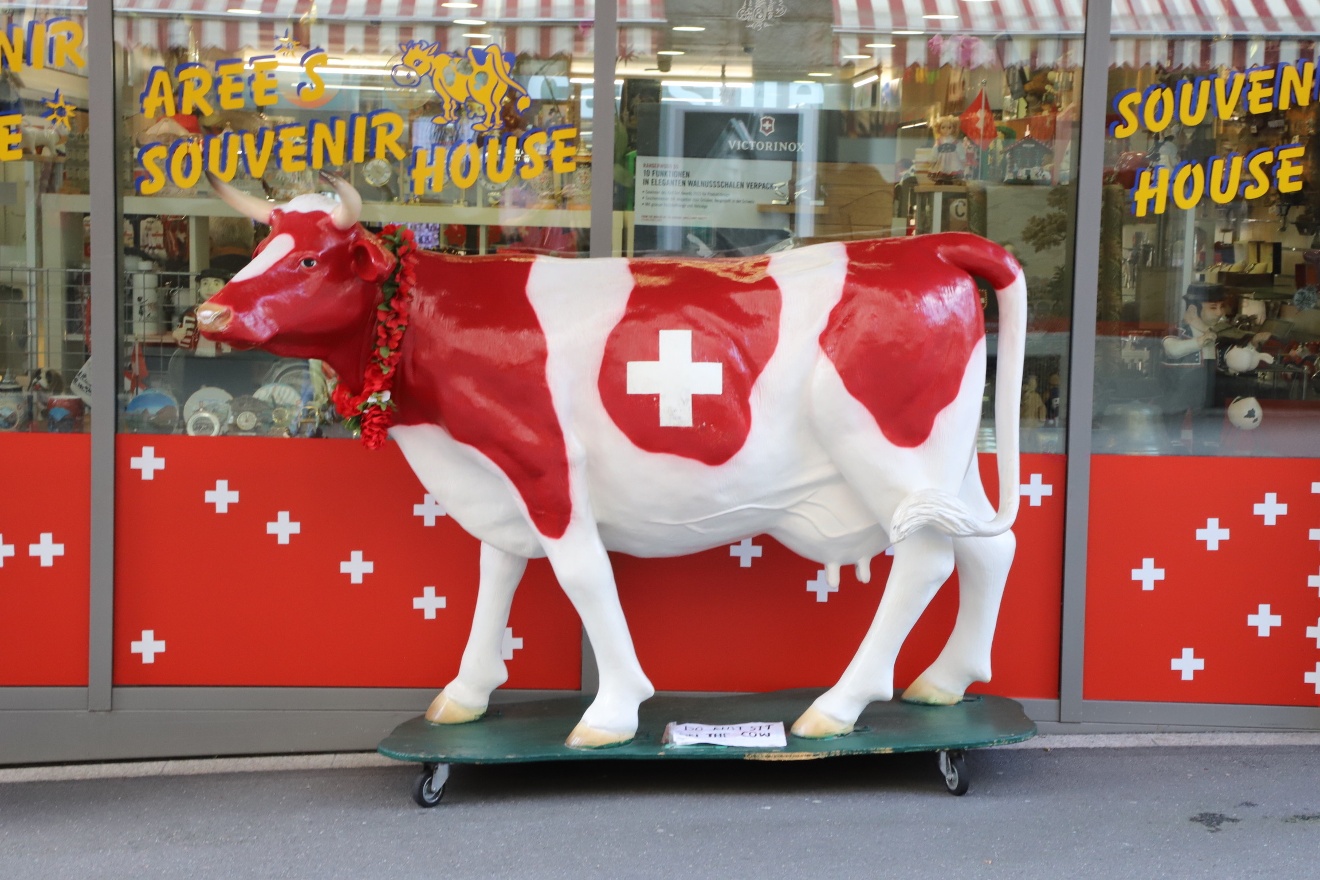 Cow
