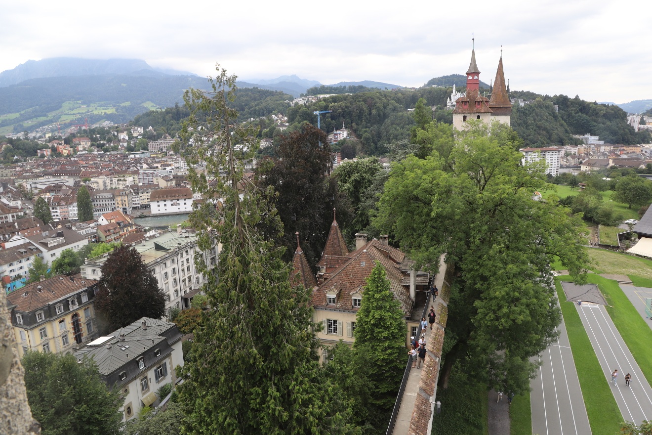 The wall and towers