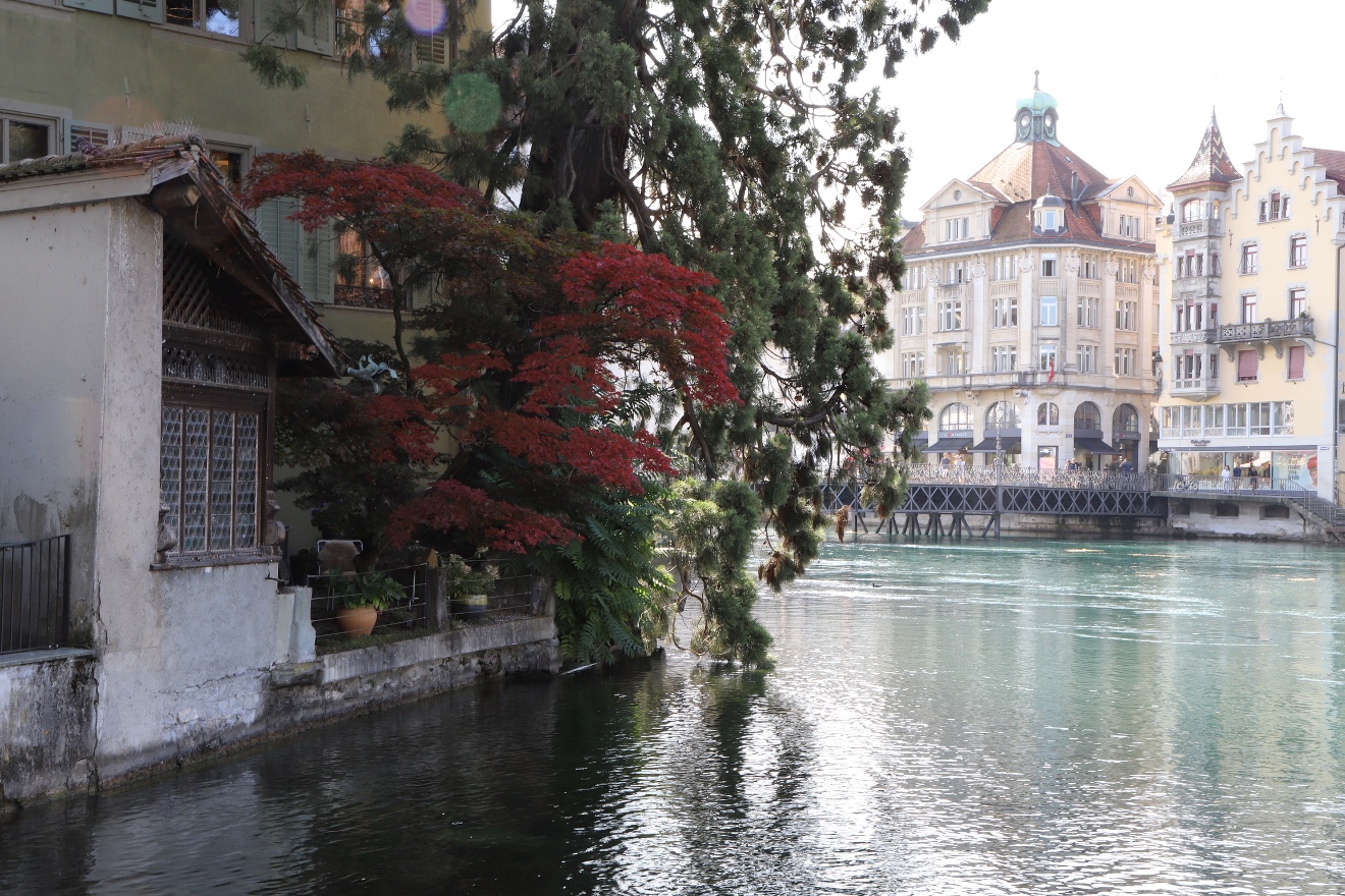 View from Mill'Feuille