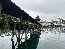 IMG_2019