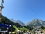 IMG_2494