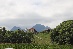 IMG_6210