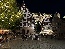 IMG_6233