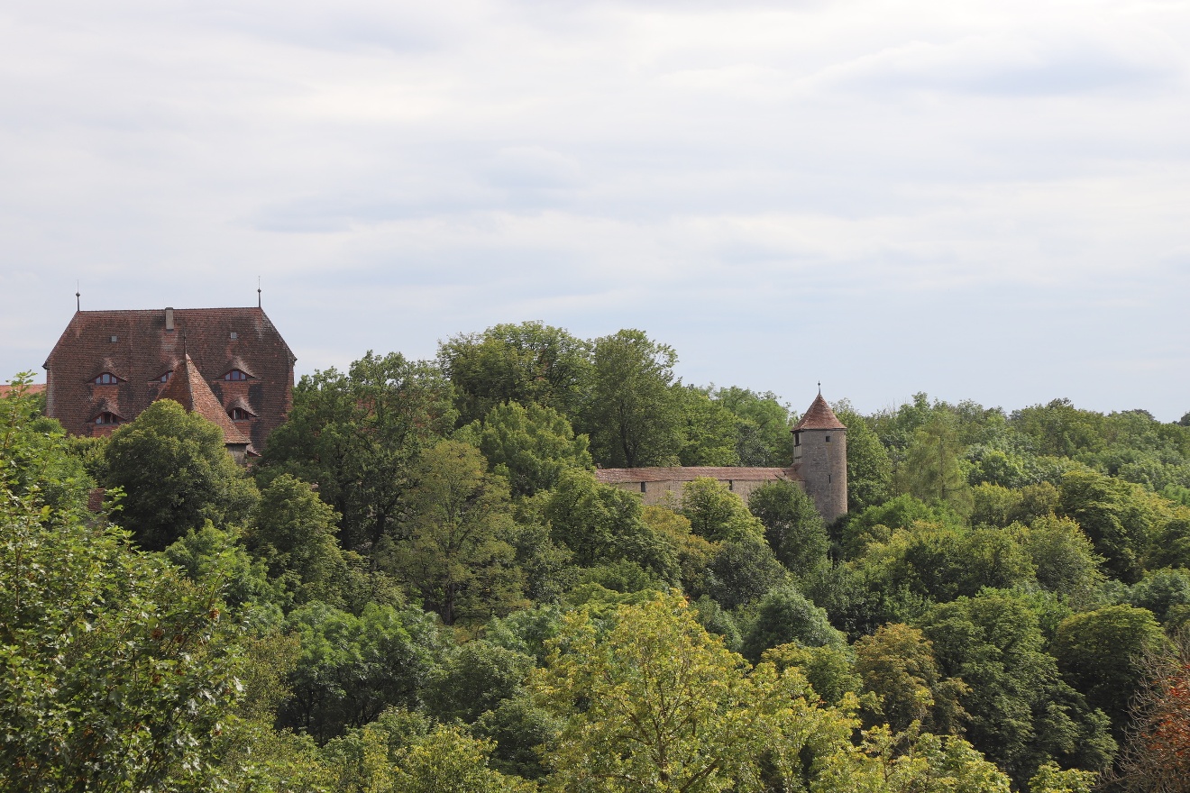IMG_6474.JPG