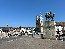 IMG_6646