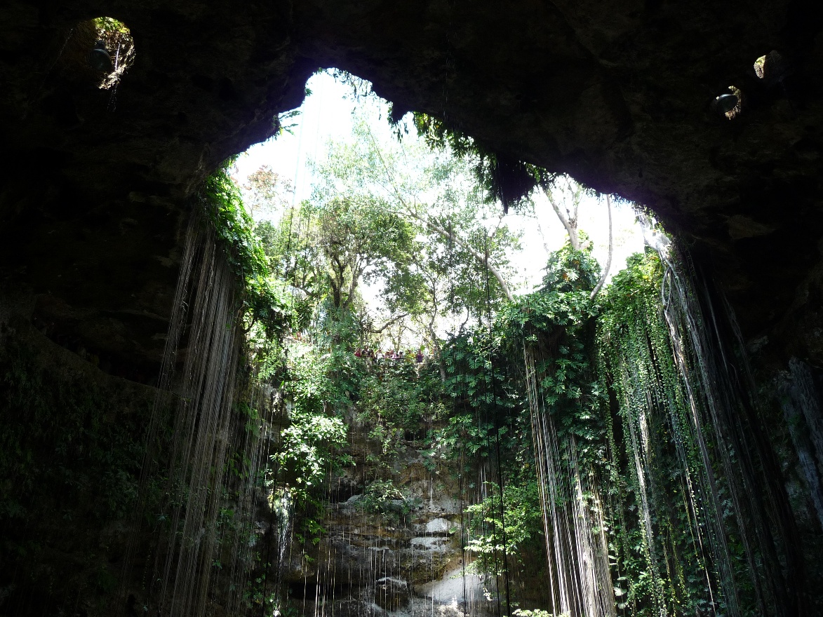 Cenote Up
