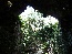 P1020392